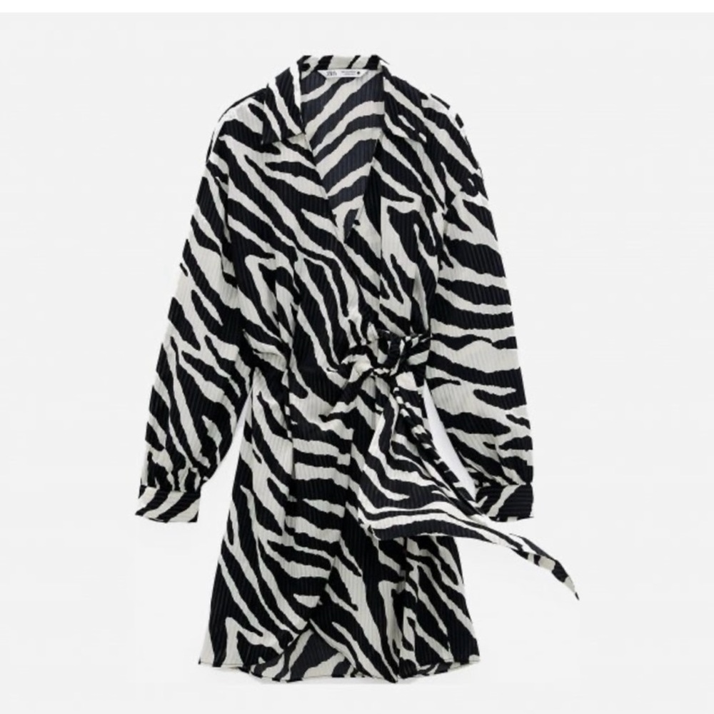 Zara dress